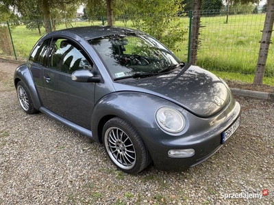 Volkswagen New Beetle 1.9 TDI 102KM arte stan BDB 150000 km