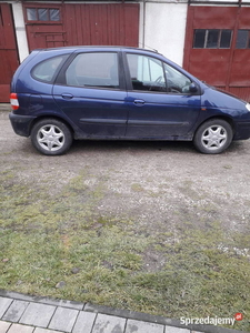 Renault scenic