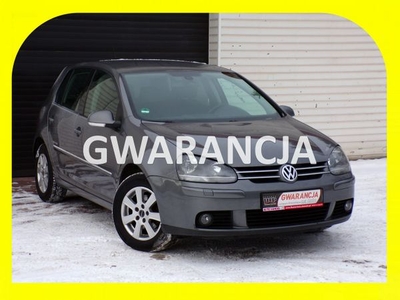 Volkswagen Golf Klimatronic / Gwarancja / 1.6 MPI 102KM V (2003-2008)