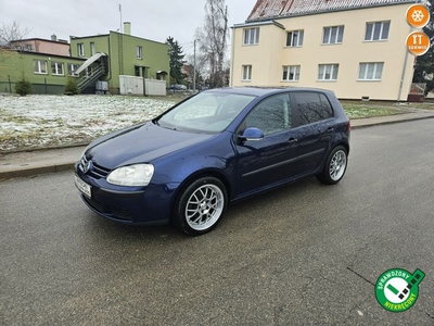 Volkswagen Golf Opłacony Zdrowy Zadbany Serwisowany MPI Klima Alu 2 Kompl. Kół V (2003-2008)