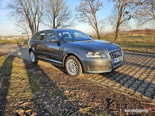 Audi A3 8P 2.0 TDi Quattro