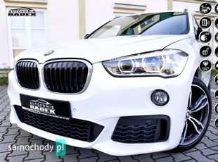 BMW X1 xDrive20i M Sport