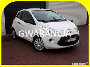 Ford KA Klimatyzacja /Gwarancja /1,2 /70KM /2013R II (2008-)