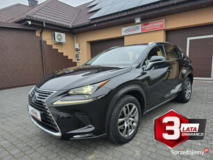 Lexus NX 300h 3 Lata Gwarancji Elegance Optimum AWD 4x4 HYBRID Salon PL FV…