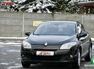 Renault Megane 1,6i 110KM Business/Serwis/Tempomat/Klimatyzacja/Alufelgi/N…