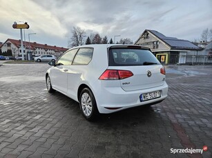 Volkswagen Golf VII 1.6 TDI BMT Trendline EU6