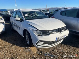 VOLKSWAGEN Golf VIII 1.0 TSi 110 OPF GE689