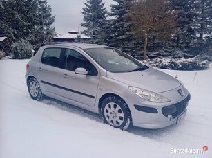 Zadbany Peugeot 307 1.6B-Gaz(2019/