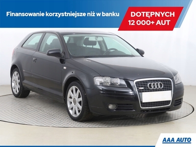 Audi A3 8P Hatchback 3d 1.9 TDI 105KM 2006