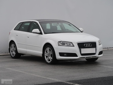 Audi A3 II (8P) , Salon Polska, Xenon, Bi-Xenon, Klimatronic, Parktronic,