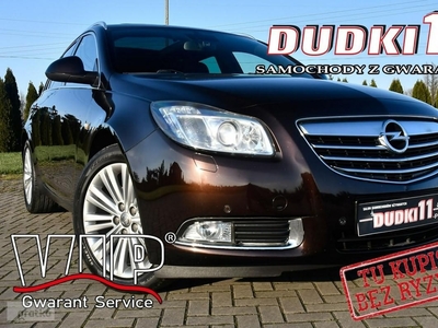 Opel Insignia I 2,0B Turbo Benz.Skóry,Panorama Dach,Klimatr 2 str.El.szyby.kredyt.GW