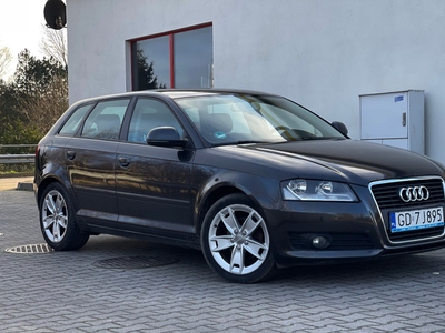 Audi A3 8P Hatchback 3d 1.8 TFSI 160KM 2009