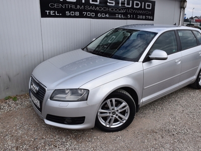 Audi A3 8P Hatchback 3d 1.9 TDI 105KM 2009