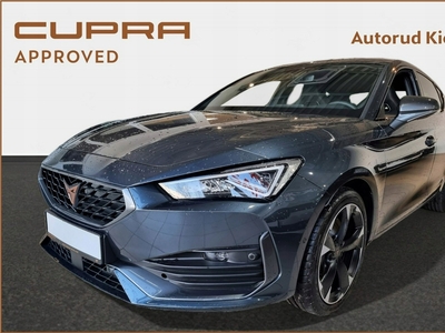 Cupra 2023