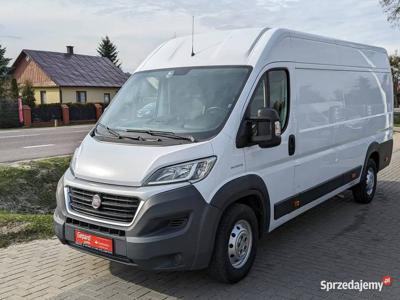 Fiat Ducato L4H2 Maxi Ducato