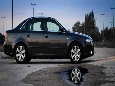 Sprzeda Audi A4 B7 S-Line 2.0TDI