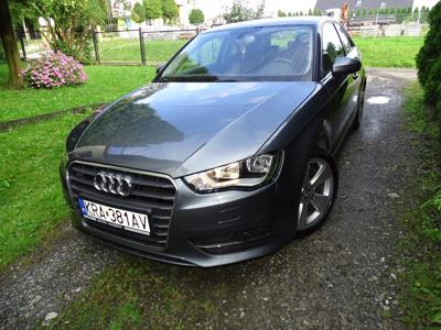 Audi A3 8V Hatchback 3d 2.0 TDI 150KM 2013