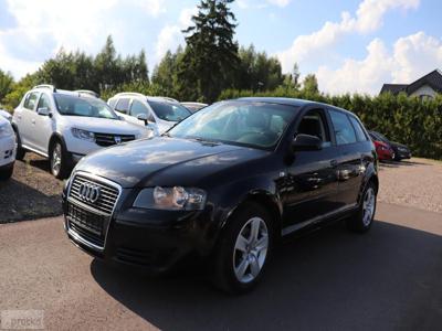 Audi A3 II (8P) 1.6 Ambiente