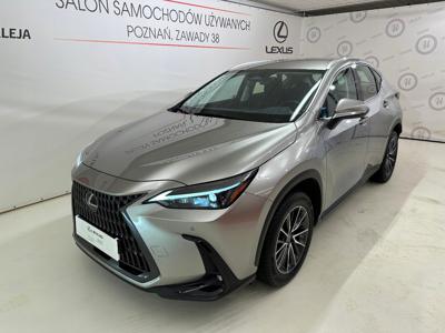 Lexus NX II 2022