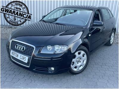 Audi A3 8P Hatchback 3d 1.9 TDI 105KM 2005