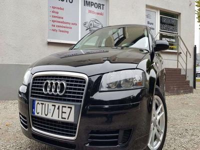 Audi A3 8P Hatchback 3d 1.6 FSI 115KM 2004