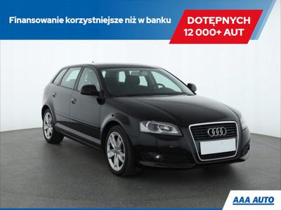 Audi A3 8P Hatchback 3d 2.0 TDI CR 140KM 2009