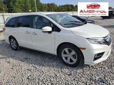 Honda Odyssey IV 2019