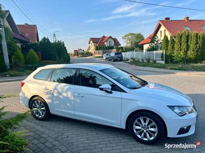 Seat leon dobrze prowadzony