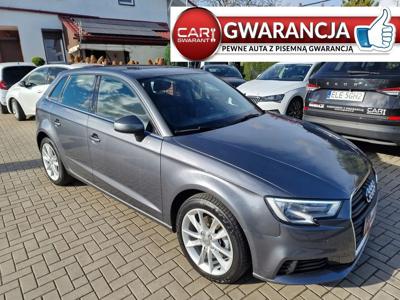 Audi A3 8V Hatchback 3d 1.6 TDI clean diesel 110KM 2016