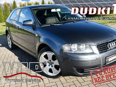 Audi A3 II (8P) 1,9tdi DUDKI11 Klimatr 2 str,Hak,Tempomat,El.szyby.Kredyt.OKAZJA