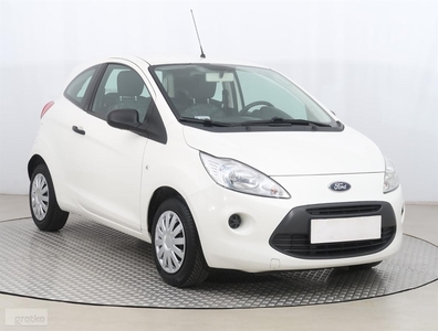 Ford KA II , Salon Polska, Klima