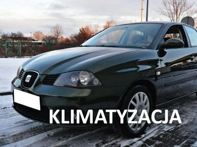 Seat Ibiza III (2002-2008)