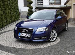 Audi A3 Lift - Led/Xenon - GWARANCJA - Zakup Door To Door 8P (2003-2012)