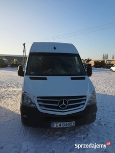 Mercedes-Benz Sprinter 2016 rok chłodnia