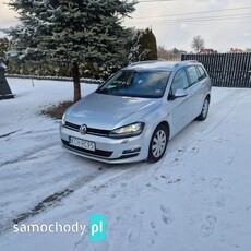 Volkswagen Golf VII