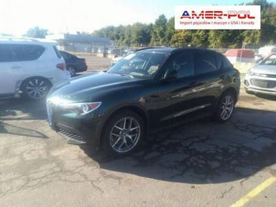 Alfa Romeo Stelvio bez wersji 2019, 2.0L, 4x4, TI SPORT, po kradzieży