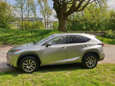 Lexus NX NX 14- Pierwszy właściciel