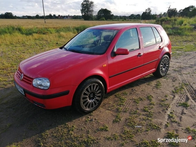 Volkswagen Golf IV Hatchback Benzyna idealny do nauki jazdy