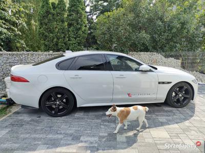 Sprzedam Jaguara XF R-Sport 300KM