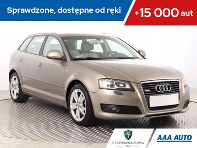 Audi A3 8P Hatchback 3d 1.4 TFSI 125KM 2009