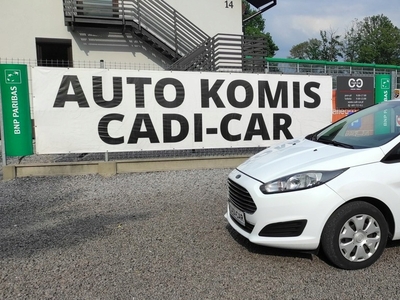 Ford Fiesta VII Hatchback 3d Facelifting 1.25 60KM 2014