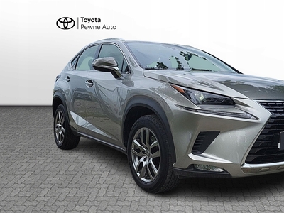 Lexus NX I SUV Facelifting 300 238KM 2019