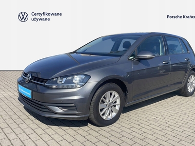 Volkswagen Golf VII Hatchback 3d Facelifting 1.0 TSI 110KM 2017