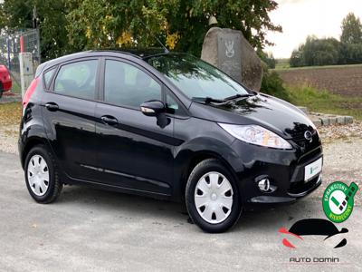 Ford Fiesta VII Hatchback 5d 1.25 Duratec 82KM 2012