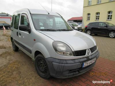 Renault Kangoo II (2003-2008)