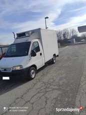 citroen jumper chłodnia izoterma z agregat 2002 ducato boxer