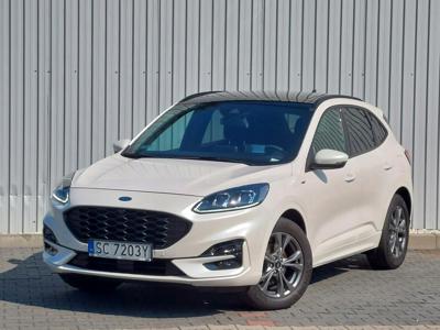 Ford Kuga III SUV 2.0 EcoBlue 190KM 2020