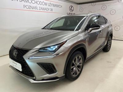 Lexus NX I SUV Facelifting 300 238KM 2019