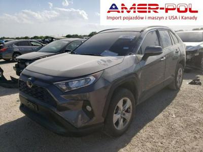 Toyota RAV-4 V (2018) 2019, 2.5L, porysowany lakier