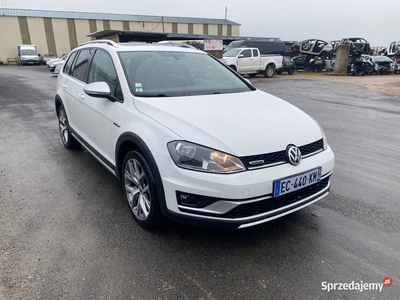 VOLKSWAGEN Golf VII SW 2.0 TDI 184 AllTrack